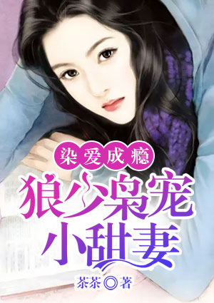 染愛成婚 小說封面