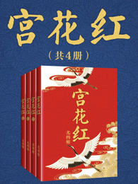 宫花红(共4册) 小说讲的什么封面